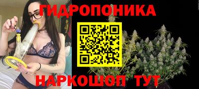 ГАЛЛЮЦИНОГЕННЫЕ ГРИБЫ Свободный