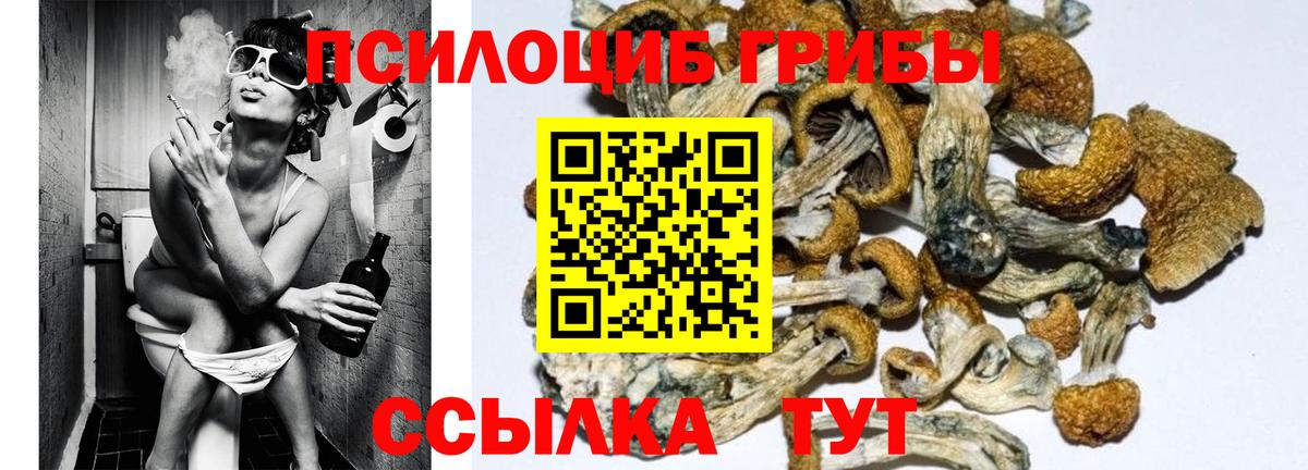 Орехово-Зуево  Галлюциногенные грибы мухоморы  Псилоцибиновые грибы мухоморы  Вход с VPN 